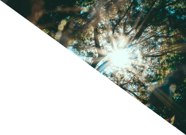 End-to-end development, certification, and monitoring services across the lifetime of the project for carbon and other ecosystem services.